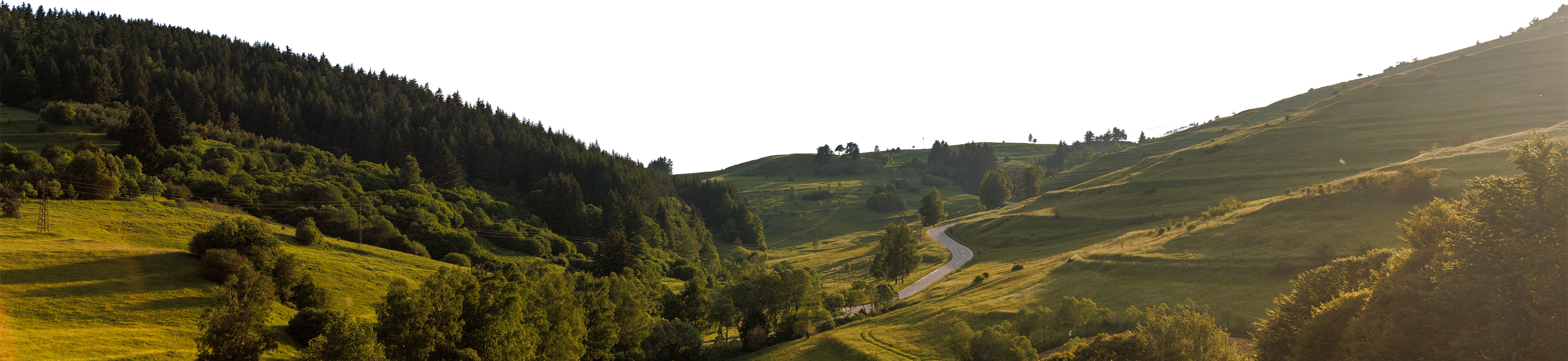 Real Estate Rosewood