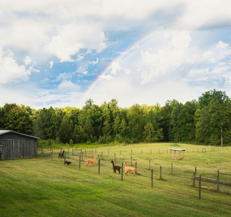 Rural property Rosewood