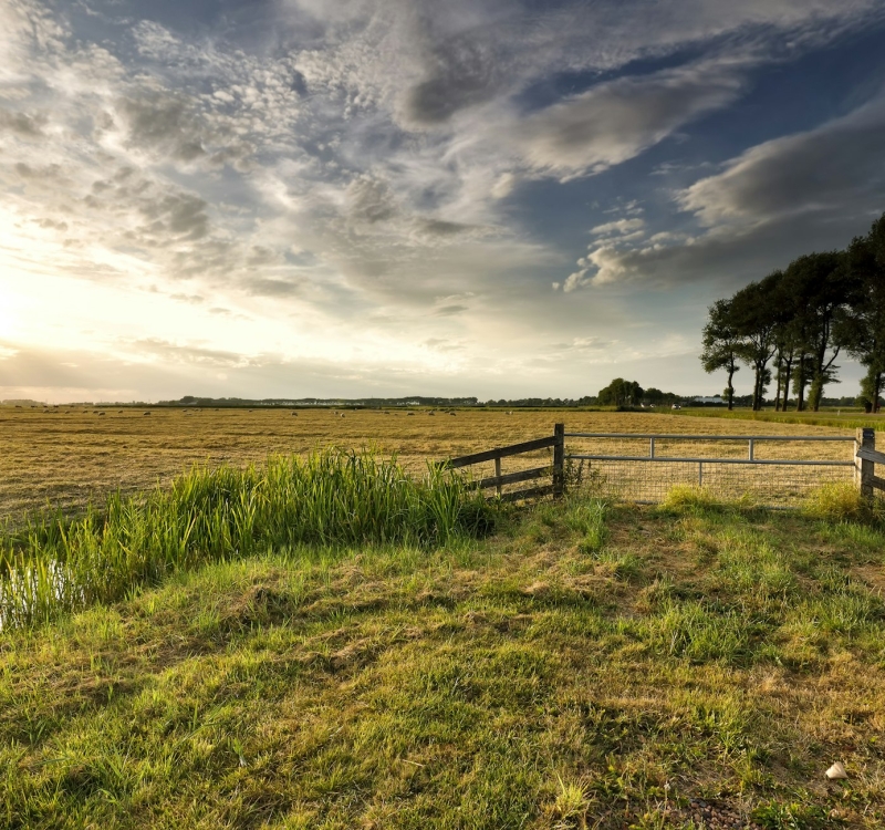Rural property Rosewood
